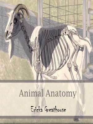 cover image of Animal Anatomy